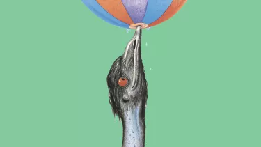 Illustration of an emu with its beak balancing a multicolored ball against a green background. The emu appears to be looking at the ball intensely.