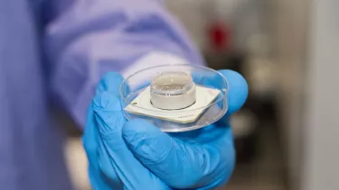 A scientist's hand in a blue glove holds a glass petri dish with multielectrode array brain chip cells encased in white plastic.