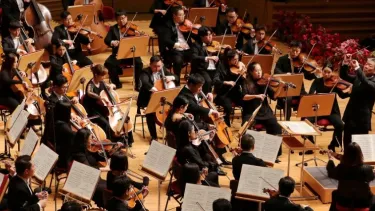 An orchestra performing on stage, with musicians playing string instruments, guided by a conductor. The audience watches, and red flowers line the stage.