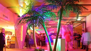 A neon pink lit studio with palm trees.
