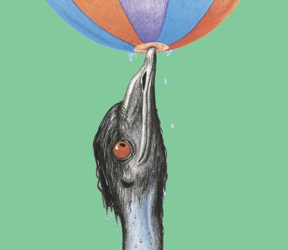 Illustration of an emu with its beak balancing a multicolored ball against a green background. The emu appears to be looking at the ball intensely.