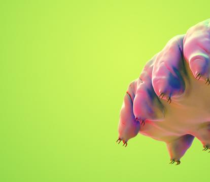 On a bright green background is an animated creature. It is pink and round with eight logs and a round mouth with small teeth.