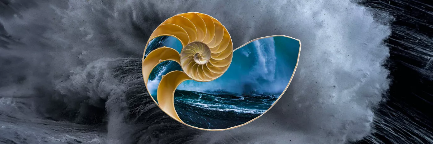 Graphic showing a shell with stormy oceans within superimposed over waves crashing onto shore