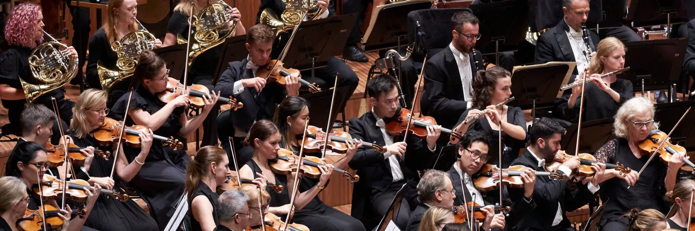 Violin, french horn and clarient players sit in black playing at the Sydney Opera House Concert Hall