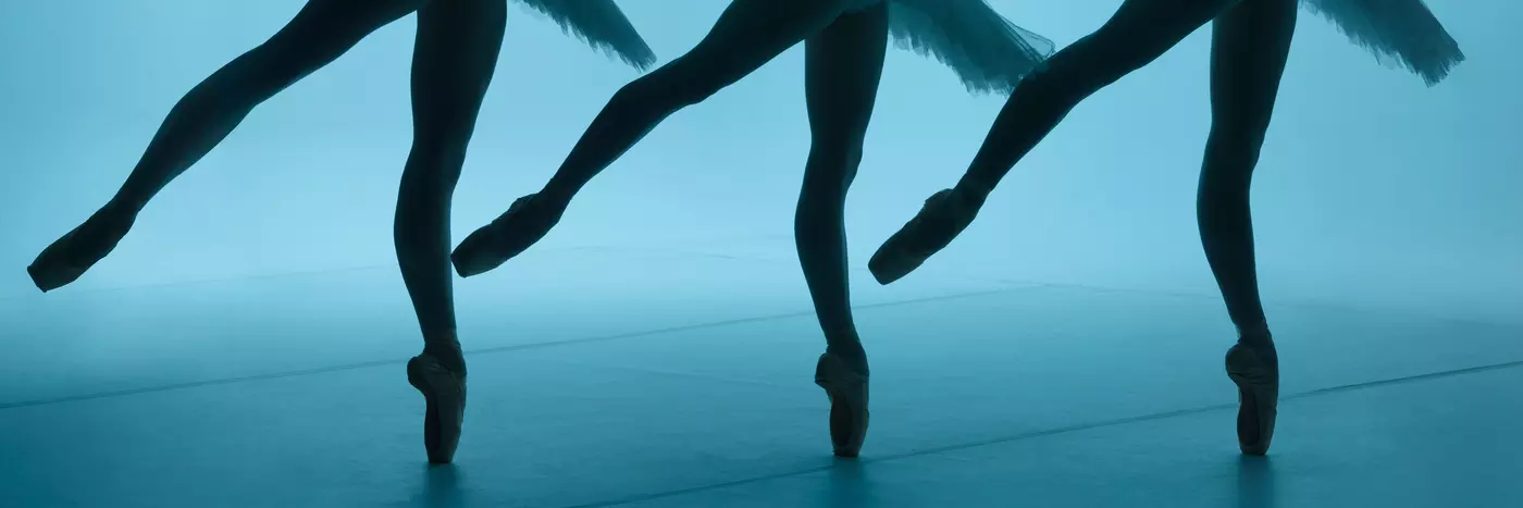 Three ballerinas seen from the waist down in silhouette wear tutus with one leg pointed behind them.